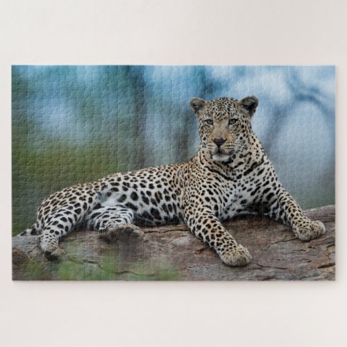 African Leopard Wild Big Cats Animal Nature Jigsaw Puzzle