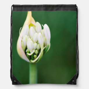 African Lily, Agapanthus Praecox, Cape Town Drawstring Bag