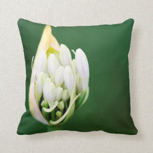 African Lily, Agapanthus Praecox, Cape Town Throw Pillow