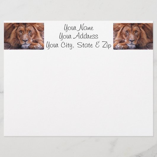 African Lion (Front)