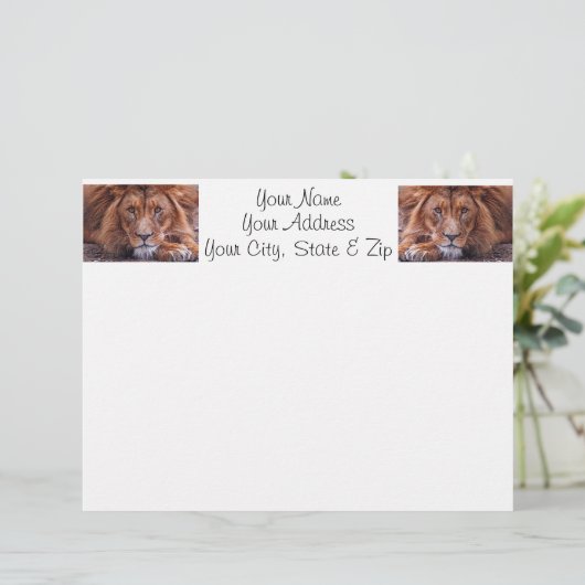 African Lion (Standing Front)