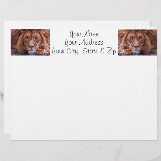 African Lion (Front/Back)