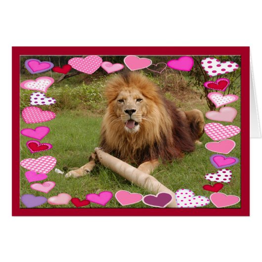 african-lion-00030-65x45 cards (Front Horizontal)