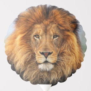 African Lion 1 Balloon