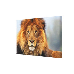 Black And Gold Lion Art Wall Decor Zazzle