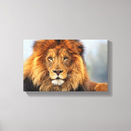 African Lion 1 Canvas Print