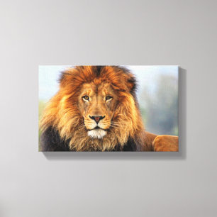 African Lion 1 Canvas Print