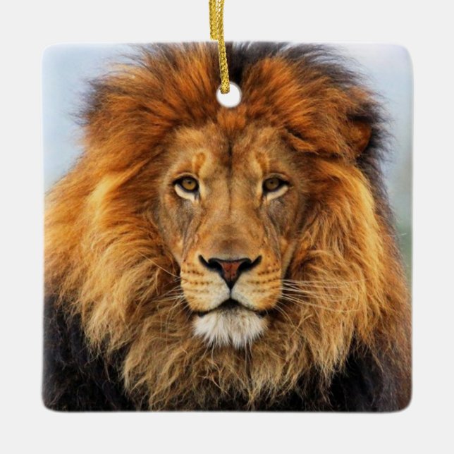 African Lion 1 Ceramic Ornament (Front)