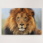 African Lion 1