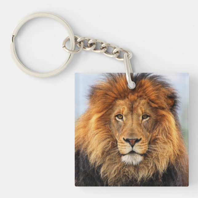 African Lion 1 Keychain (Front)