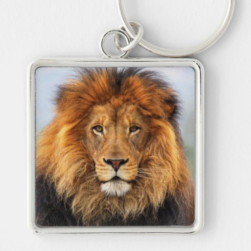 African Lion 1 Keychain