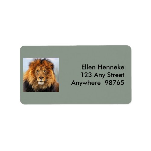African Lion 1 Label