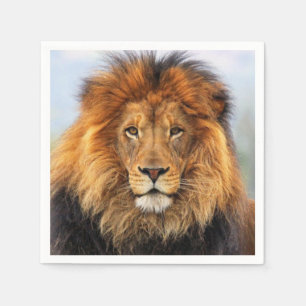 African Lion 1 Napkins