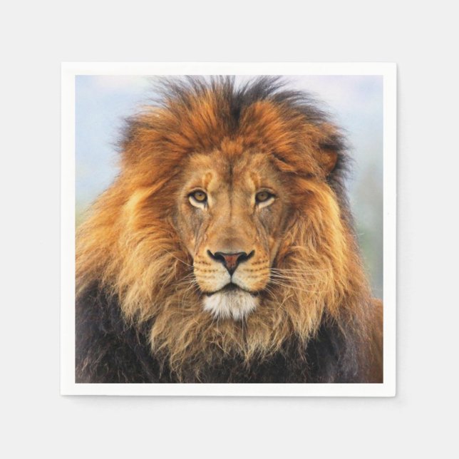African Lion 1 Napkins (Front)
