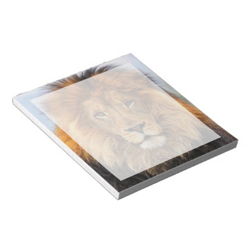 African Lion 1 Notepad
