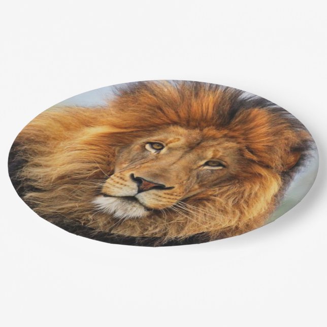 African Lion 1 Paper Plates (Angled)