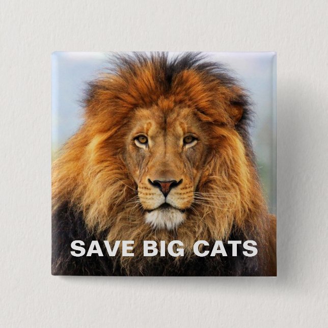 African Lion 1 Pinback Button (Front)