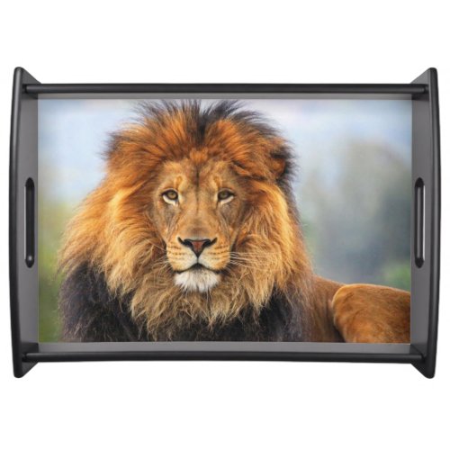 African Lion 1 Serving Tray