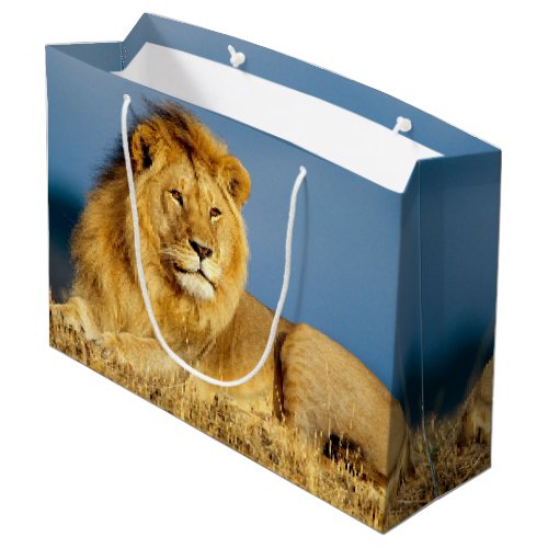 African Lion 2 Large Gift Bag