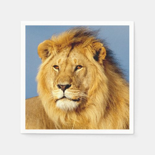 African Lion 2 Paper Napkins