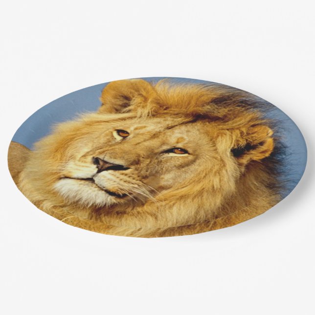 African Lion 2 Paper Plates (Angled)