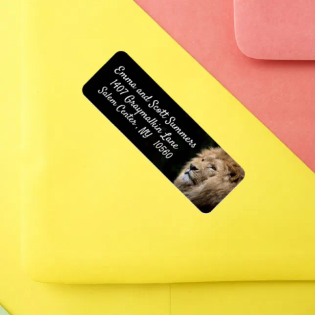 African Lion Animal Address Labels Zazzle