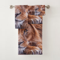African Lion