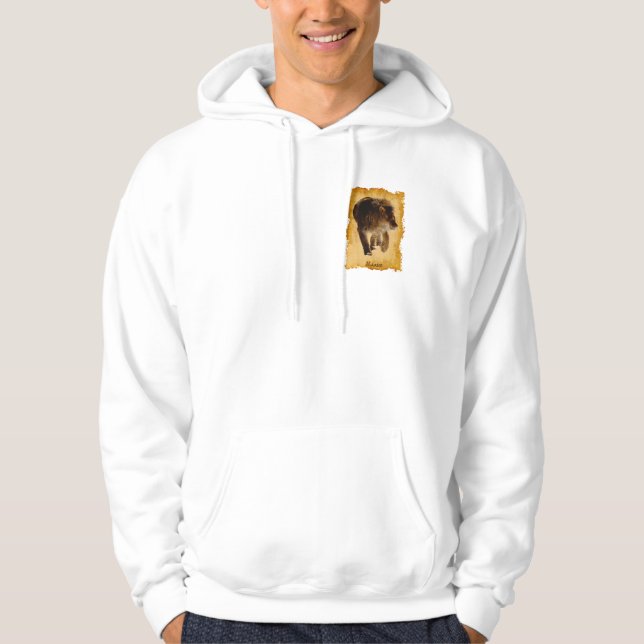 African Lion Beautiful Big Cat Wildlife Hoodie (Front)