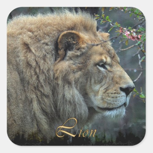 AFRICAN LION Big Five Big Cat Wildlife Stickers