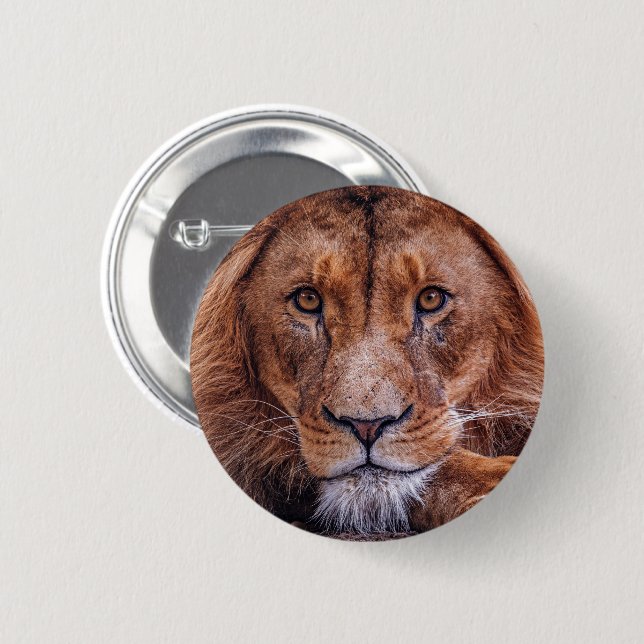 African Lion Button (Front & Back)
