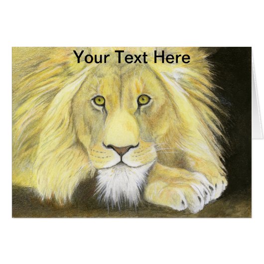African Lion Cards (Front Horizontal)