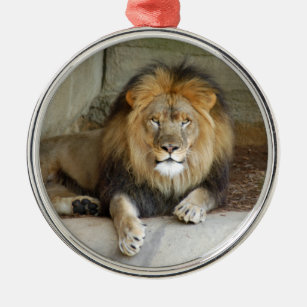 African Lion Christmas Ornament