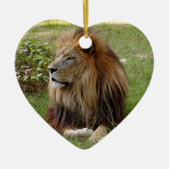 African Lion Christmas Ornament (Front)