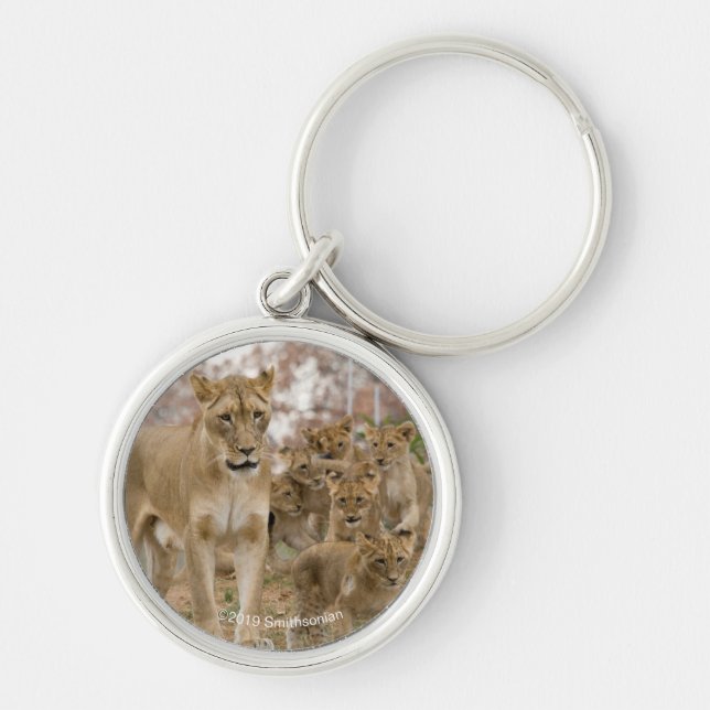 African Lion Cubs with Mother Keychain (Front)