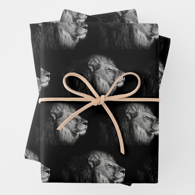 African Lion designed Wrapping Paper (In situ)