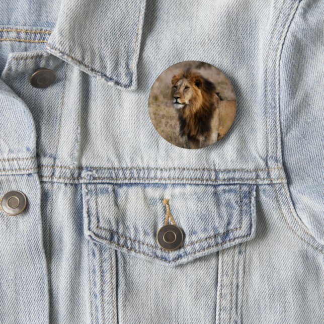 African Lion in Grass Silver Plated Button (In Situ)
