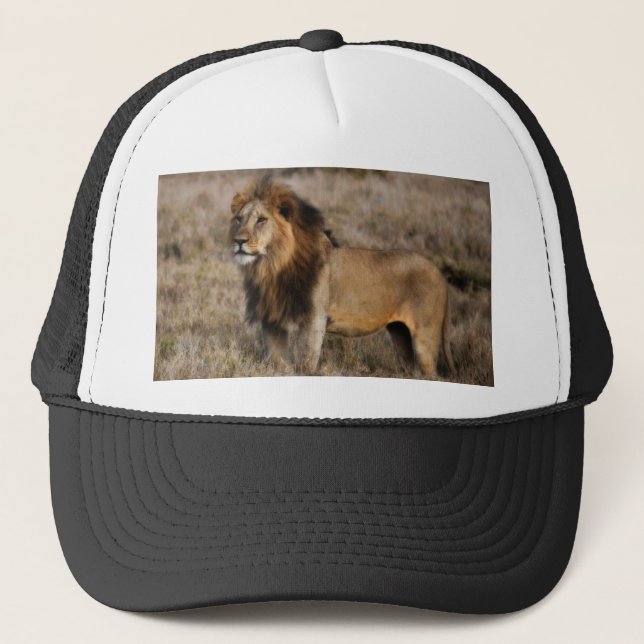 African Lion in Grass Trucker Hat (Front)