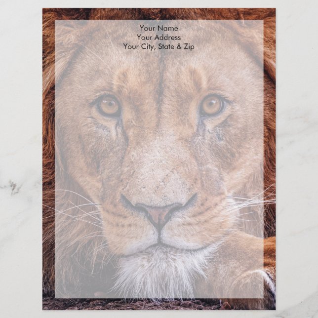 African Lion Letterhead (Front)