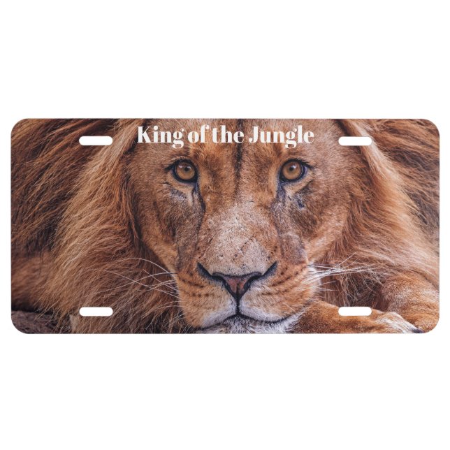 African Lion License Plate (Front)