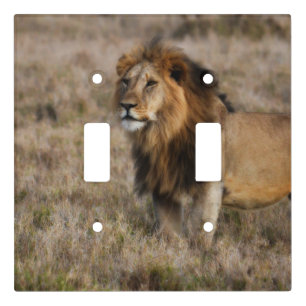 African Lion Light Double Switch Plate