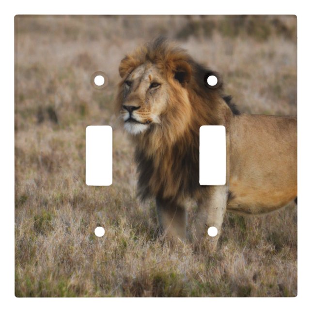 African Lion Light Double Switch Plate (Front)