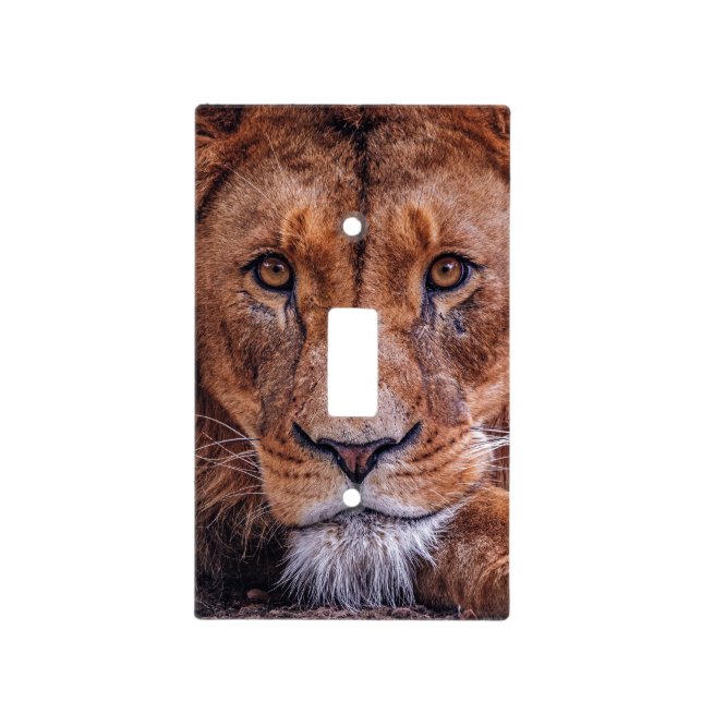 African Lion Light Switch Cover (Front)