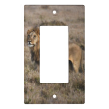 African Lions Themed Light Switch Cover Choose Your Cover Home Decor