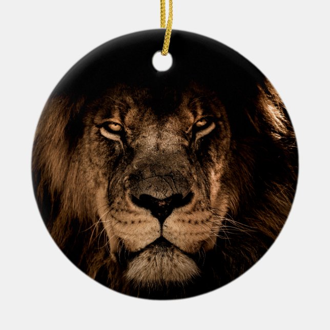 african lion mane close eyes ceramic ornament (Front)