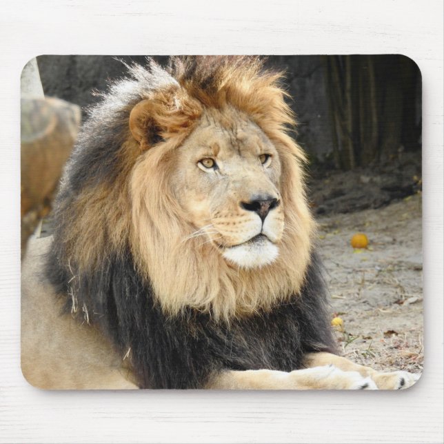 African Lion Mouse Pad (Front)