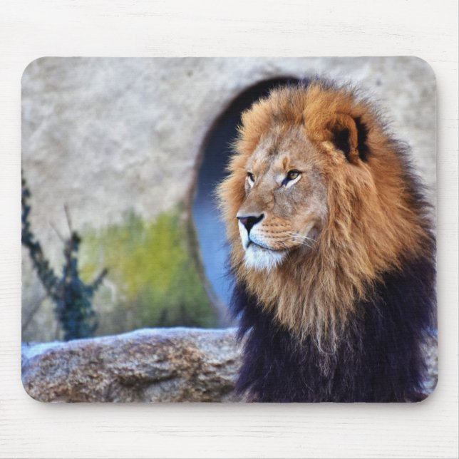 African Lion Mouse Pad (Front)