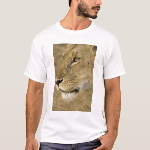 African Lion Panthera leo close up portrait T_Shirt