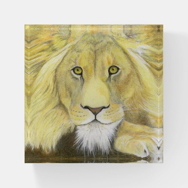 African Lion Paperweight (Front)