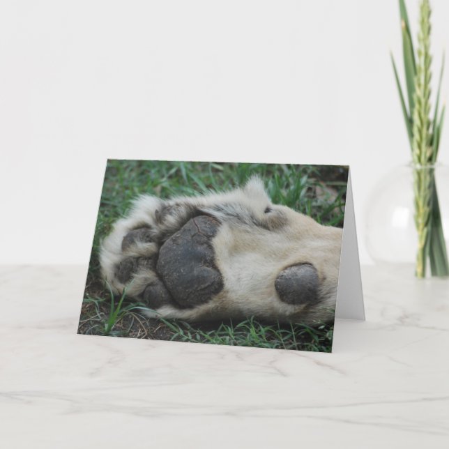 "African Lion Paw" Greeting Card (Front)