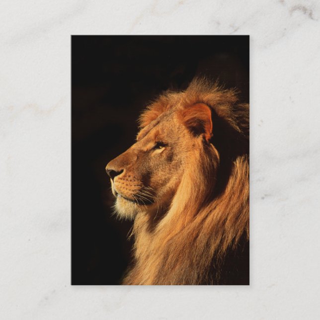 African Lion powerfull  - Two Sided Business Card (Front)